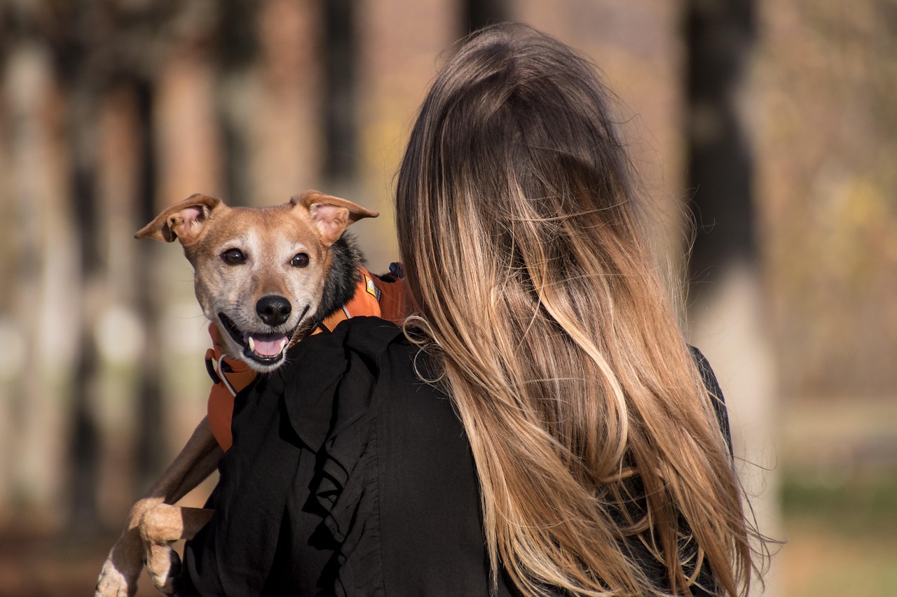 Vetted and trusted pet sitters - police-cleared care Johannesburg