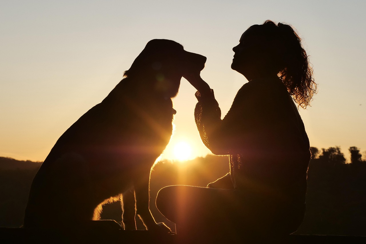 Why choose Scallin Blue - premium pet sitting Johannesburg estates